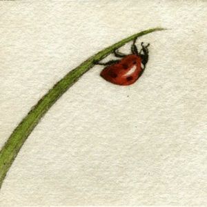 Meet your Posher, Kailey